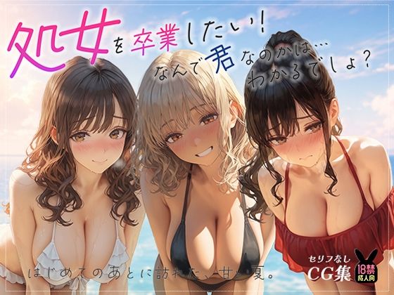 処女を卒業したい！―なんで君なのかは…わかるでしょ？― in Summer 〜はじめてのあとに訪れた、甘い夏。〜