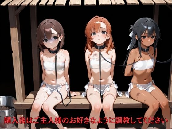 闇の処女市場で落札された娘 サンプル画像 4