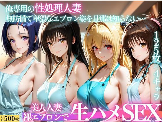 裸エプロン人妻は俺の性処理道具 〜旦那の知らないところで生ハメ中出し〜【パキラくん】