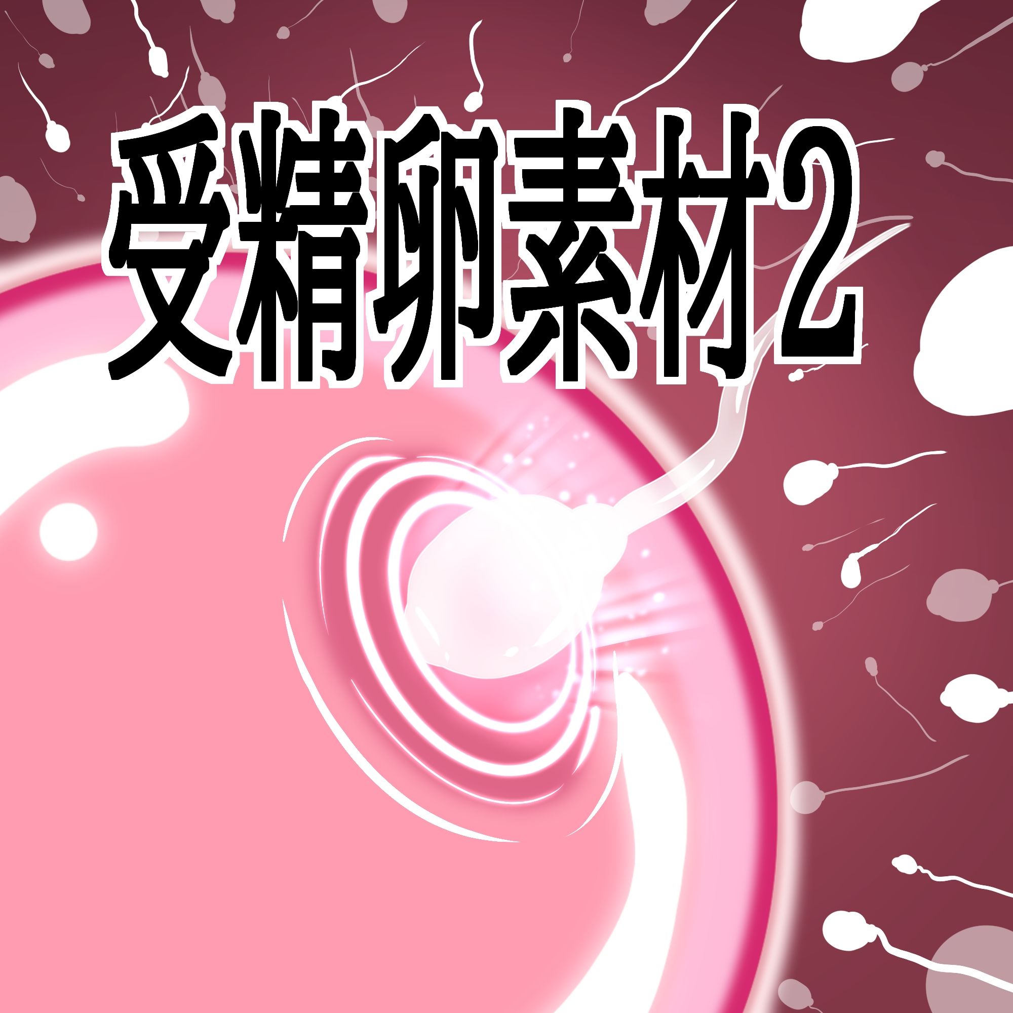 受精卵素材2 画像1