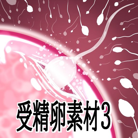 受精卵素材3 画像1