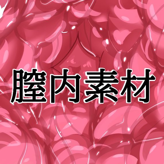 膣内素材 画像1