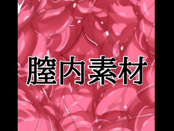 膣内素材