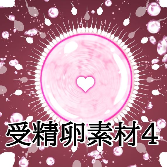 受精卵素材4 画像1