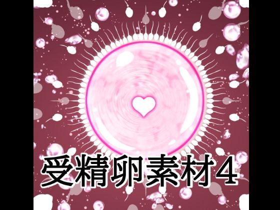 受精卵素材4