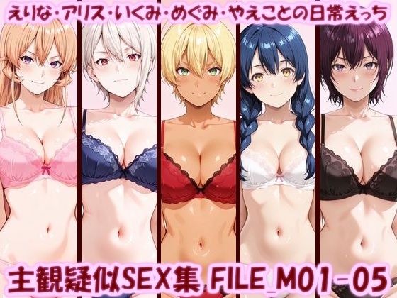 主観疑似SEX集 FILE_M01-05 えりな・アリス・いくみ・めぐみ・やえことの日常えっち【美乳淫】