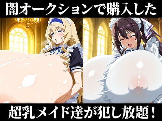 闇オークションで買われた超乳少女達は、メイドとしてご主人様の子供を孕み続ける… 【シャルロッ〇デュノア/セシリ〇オルコット/篠ノ〇箒/織〇千冬】 画像1