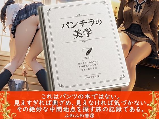 パンチラの美学【ふわふわＢＩＴ】