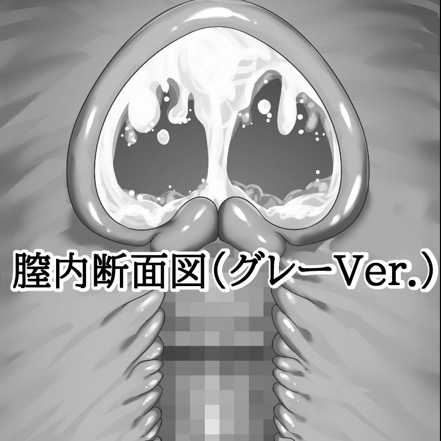 膣内断面図素材（グレーVer.）