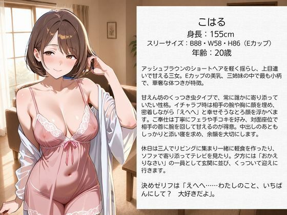 ラブラブご奉仕甘やかし彼女 ランジェリー編 下着の作品画像 3