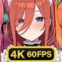 五等分のコスプレ THE ANIMATION