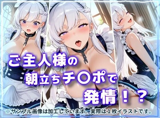 メイドヒロインがご主人様にご奉仕発情オナペットにされるCG集【ベル〇ァスト編】 画像2