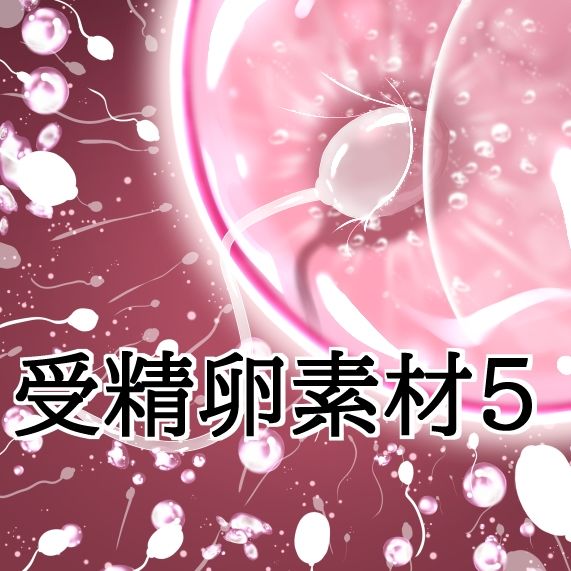 受精卵素材5 画像1