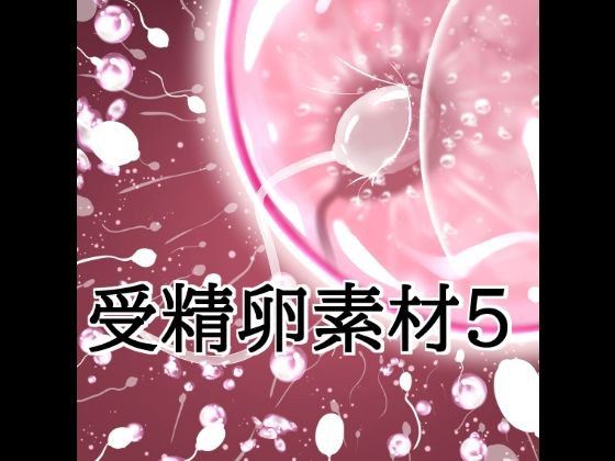 受精卵素材5