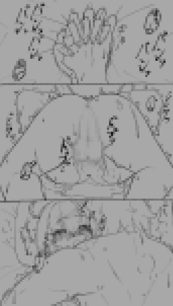 ヴァルキューレの生徒が温泉開発部の生徒に捕まった件について。 画像6