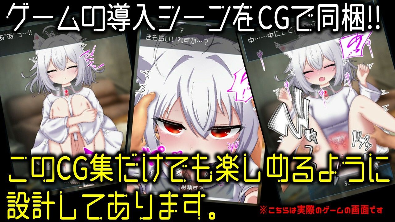 感情の乏しい獣耳少女を訓練して戦う世界 特殊訓練編 〜Project Nexus Arena〜【CG集版】 画像 5