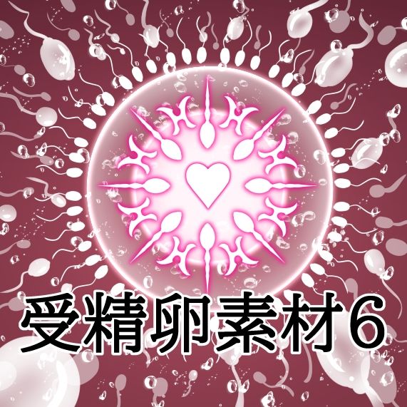 受精卵素材6 画像1