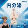 【▲20】パンチラガチャ★一ノ瀬廻里 大学に進学し強豪予備校『DOPUX（ドピュックス』で生物I，IIを教える名物講師に！（Vol.049:内分泌）