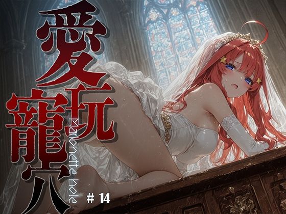 愛玩寵穴 ＃14 の表紙