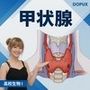 【▲20】パンチラガチャ★一ノ瀬廻里 大学に進学し強豪予備校『DOPUX（ドピュックス』で生物I，IIを教える名物講師に！（Vol.050:甲状腺）