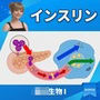【▲20】パンチラガチャ★一ノ瀬廻里 大学に進学し強豪予備校『DOPUX（ドピュックス』で生物I，IIを教える名物講師に！（Vol.051:インスリン）