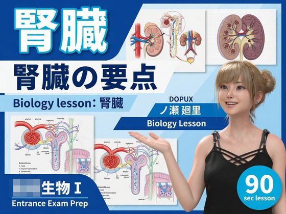 【▲20】パンチラガチャ★一ノ瀬廻里 大学に進学し強豪予備校『DOPUX（ドピュックス』で生物I，IIを教える名物講師に！（Vol.053:腎臓） の表紙