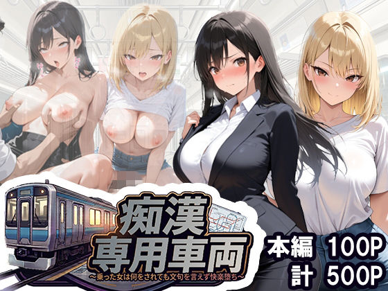痴○専用車両 〜乗った女は何をされても文句を言えず快楽堕ち〜 の表紙