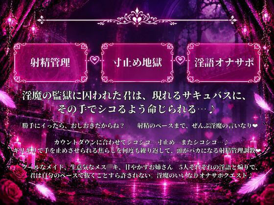 オナサポクエスト〜淫魔による管理〜 画像1