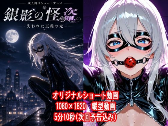 銀影の怪盗〜失われた正義の光〜の表紙