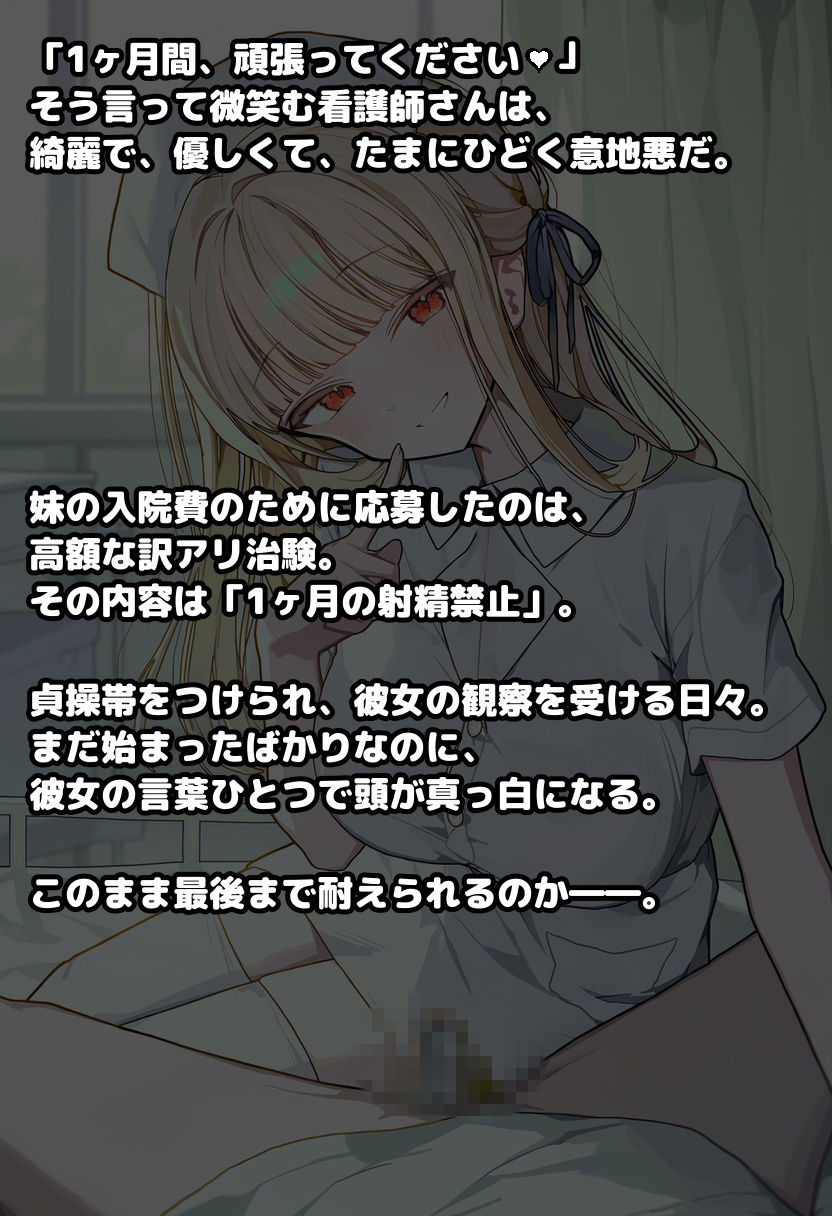 サンプルページ 1