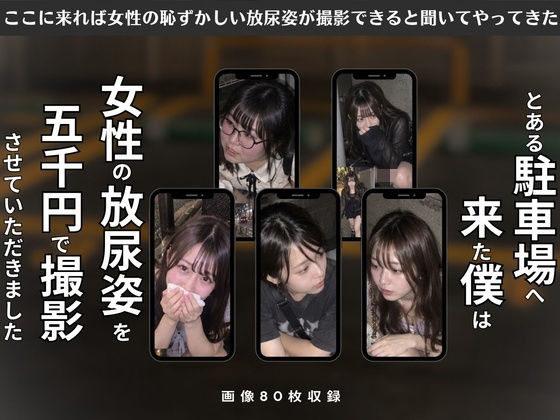 とある駐車場へ来た僕は女性の放尿姿を5千円で撮影させていただきました の表紙