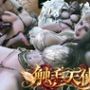 触手  天使【35分】
