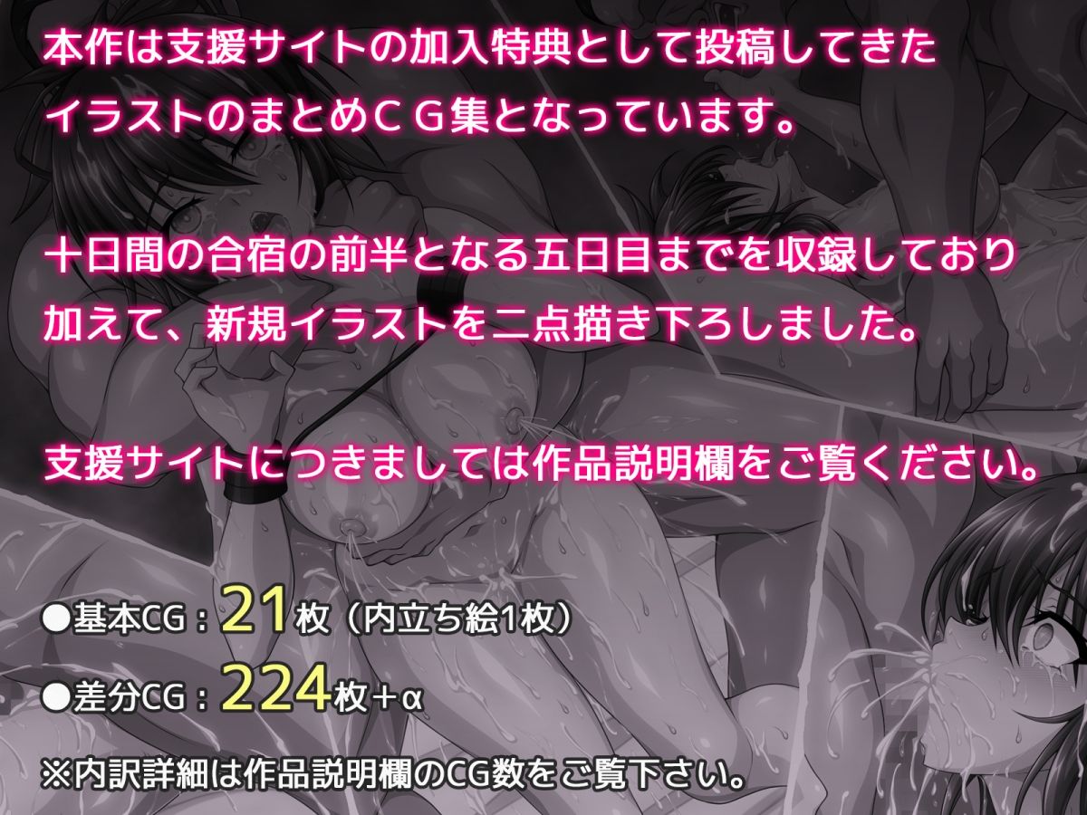 サンプル画像 6
