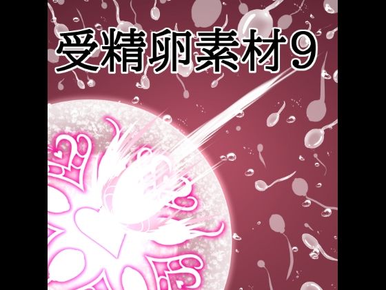 受精卵素材9