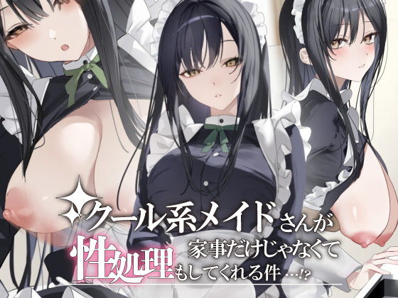 クール系メイドさんが家事だけじゃなくて性処理もしてくれる件