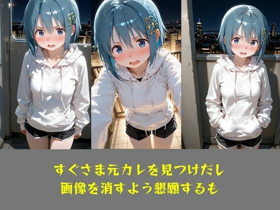 NTR  リベンジポルノ  美樹さやか