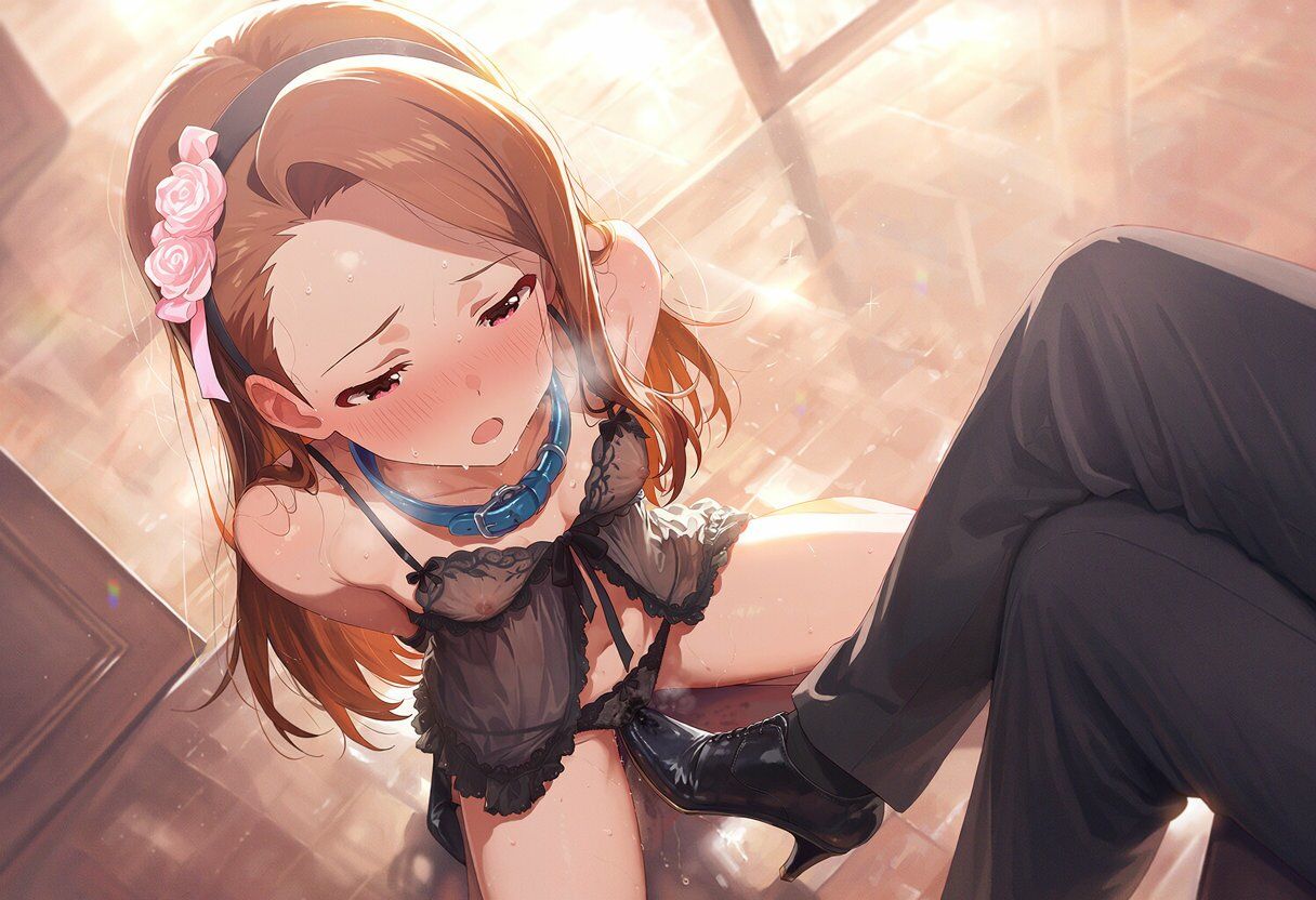 アイドルVIP会場引き回し 画像2