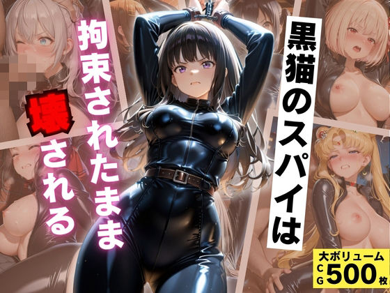 黒猫のスパイは拘束されたまま壊される の表紙