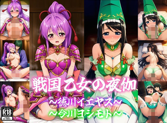 戦国乙女の夜伽〜イエヤス＆ヨシモト〜の表紙