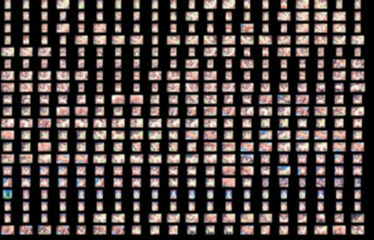 ウォーロックジー〇VSクロロホルム使い【約492枚】 画像4