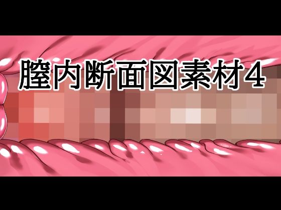 膣内断面図素材4の表紙