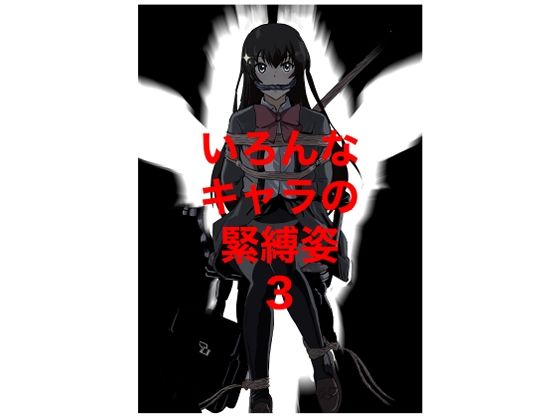 いろんなキャラの緊縛姿3の表紙