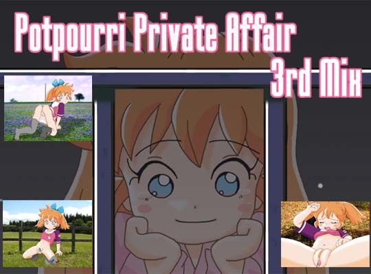 Potpourri Private Affair 3rdMix[Compact Software] 