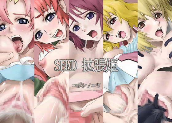 SEED 拡張姫1