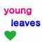 young leaves