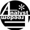 Analyst freedom