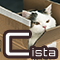 Cista