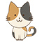三毛猫BOX