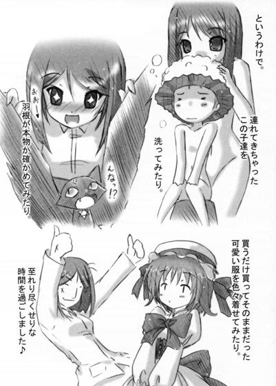 サンプル画像