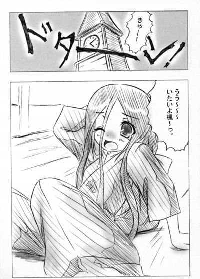 サンプル画像